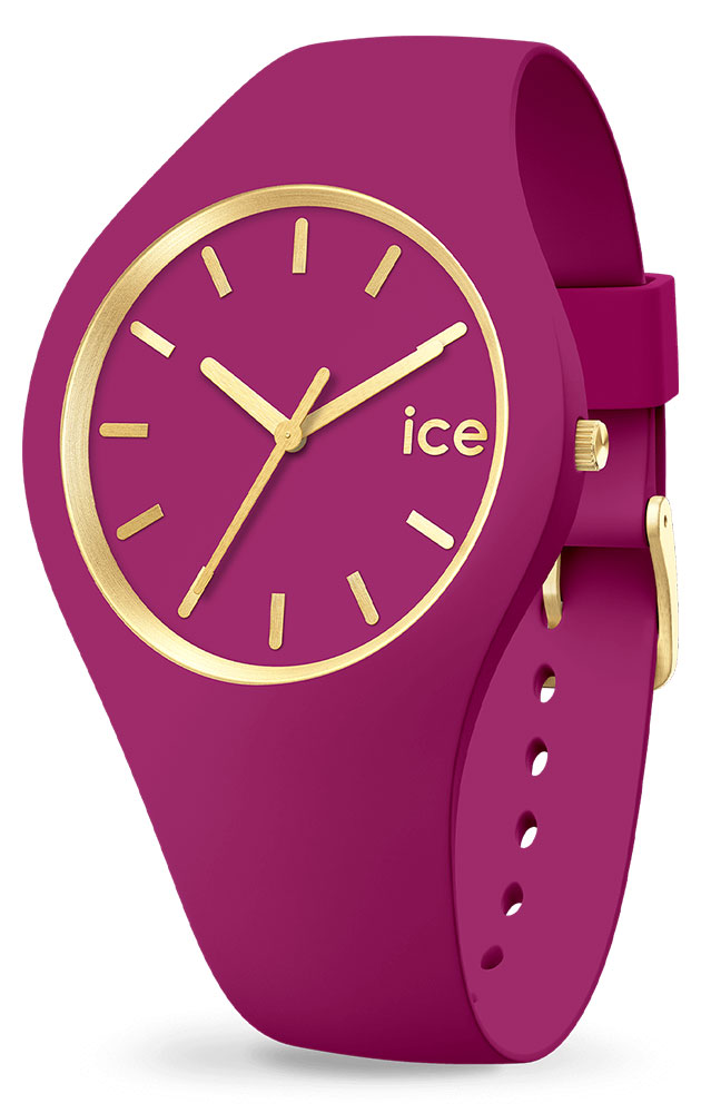 Montre Ice-Watch 020541