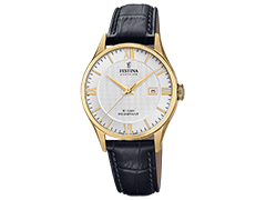 Montre Festina F20010/2