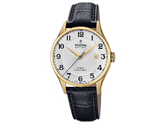 Montre Festina F20010/1