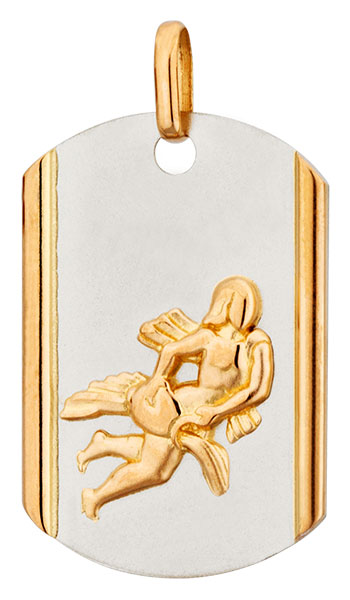 Pendentif or bicolore Verseau