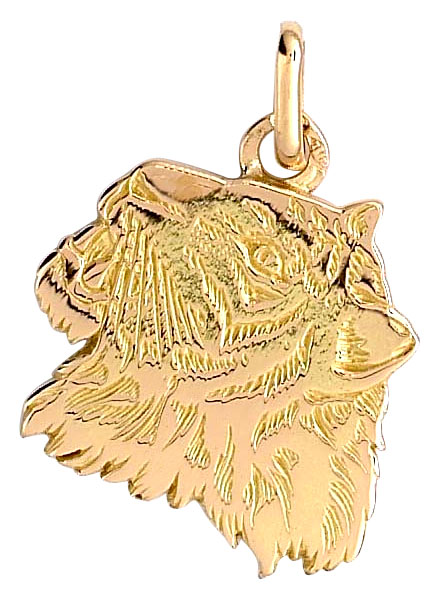 Pendentif or jaune Tte de Tigre