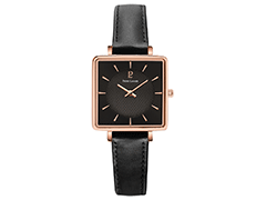 Montre Pierre Lannier 008F933