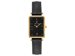 Montre Pierre Lannier 057H533