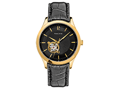 Montre Pierre Lannier 336B033