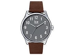 Montre Ice-Watch 013049