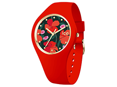 Montre Ice-Watch 017577